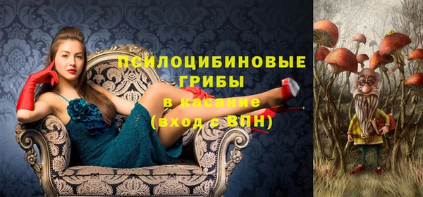 марки nbome Бородино