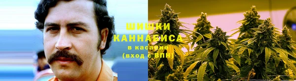гашик Верея