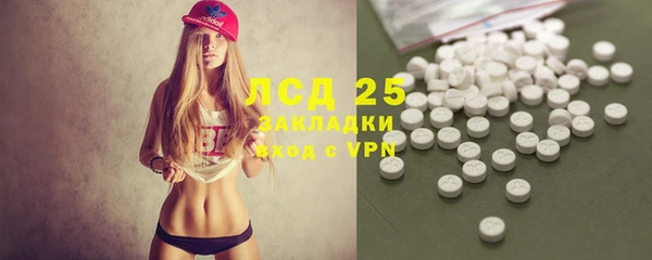 крисы Бронницы