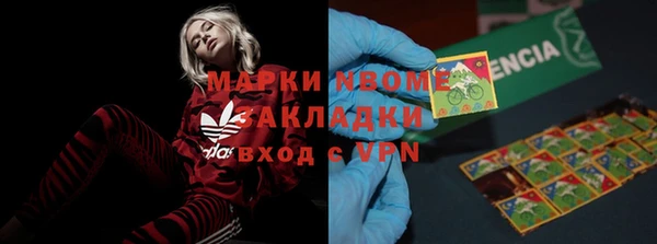 крисы Бронницы