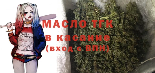 крисы Бронницы