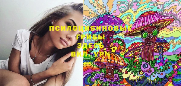 марки nbome Бородино