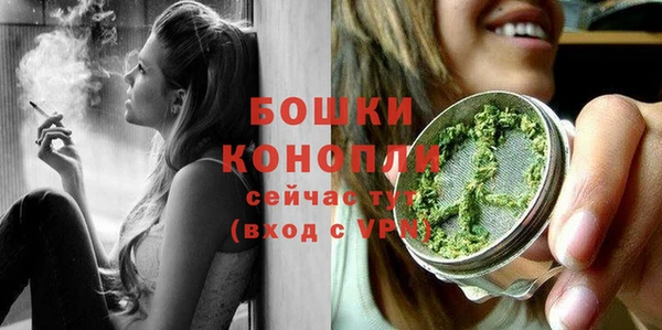 крисы Бронницы
