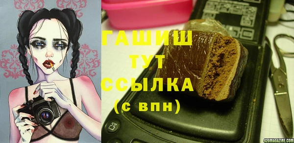 гашик Верея