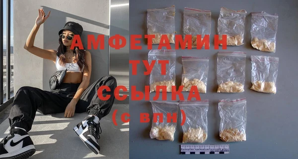 крисы Бронницы
