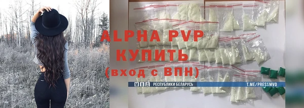 гашик Верея